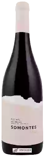 Domaine Casa da Passarella - Somontes Tinto