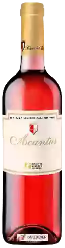 Domaine Casa del Valle - Acantus Merlot - Syrah Rosado