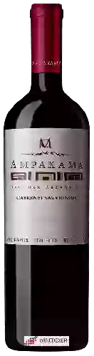 Domaine Casa Montes - Ampakama Cabernet Sauvignon