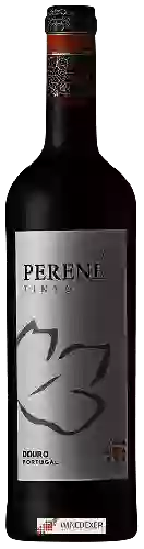 Domaine Casa Santa Eufemia - Perene Tinto