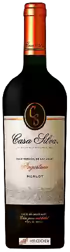 Domaine Casa Silva - Gran Terroir de Los Andes Angostura Merlot