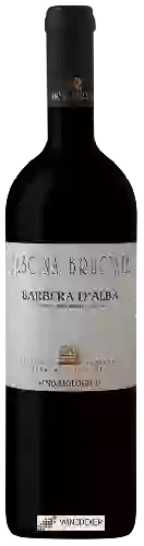 Domaine Cascina Bruciata - Barbera d'Alba