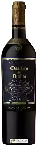 Domaine Casillero del Diablo - Expert Series Maipo Valley Route of Cabernet Sauvignon