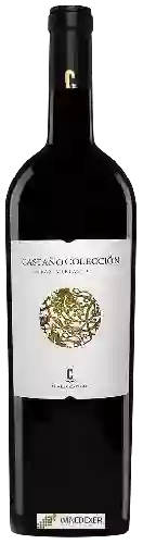 Domaine Castaño - Castaño Colección Cepas Viejas