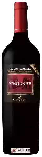 Domaine Castelfeder - Burgum Novum Lagrein Riserva