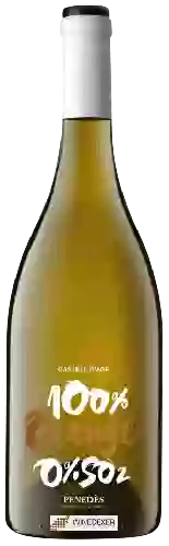 Domaine Castell d'Age - 100% Orange 0%SO2