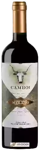 Domaine Castello di Meleto - Camboi