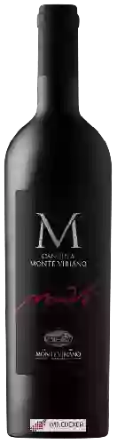 Domaine Castello Monte Vibiano Vecchio - MonVì