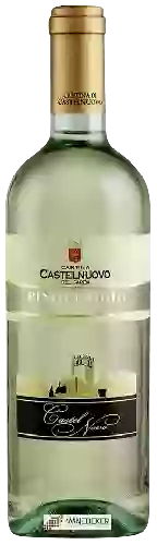 Domaine Cantina di Castelnuovo del Garda - Castel Novo Pinot Grigio