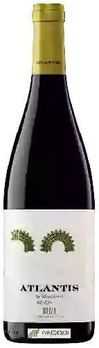 Domaine Castillo de Maetierra - Atlantis Mencia