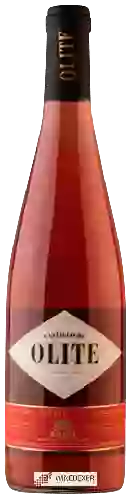 Domaine Castillo de Olite - Rosado