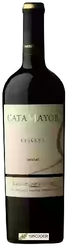 Bodegas Castillo Viejo - CataMayor Reserva Tannat