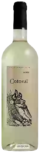 Domaine Casto Pequeno - Cotoval Verdejo