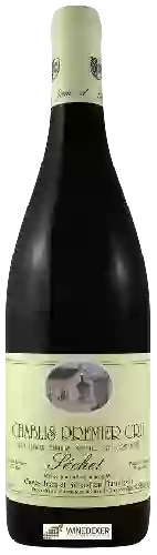 Domaine Jean et Sébastien Dauvissat - Chablis 1er Cru 'Séchet'