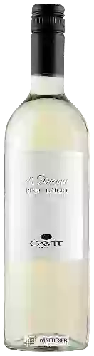 Domaine Cavit - Pinot Grigio d'Arcana