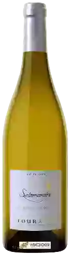 Domaine Cellier du Beaujardin - Salamandre Sauvignon Touraine