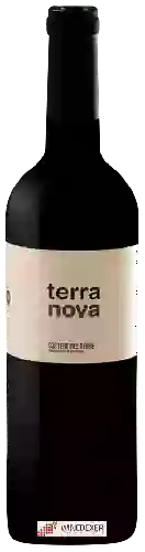 Domaine Cercavins - Terra Nova