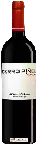 Domaine Cerro Piñel - Joven