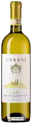 Domaine Cesani - Clamys Vernaccia di San Gimignano