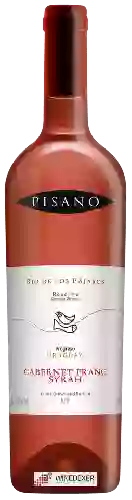 Domaine Pisano - Rio de Los Pájaros Reserva Cabernet Franc - Syrah