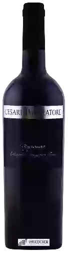 Domaine Cesare Imperatore - Negroamaro