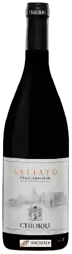 Domaine Chiorri - Saliato