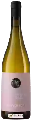 Domaine Ciavolich - Passerina