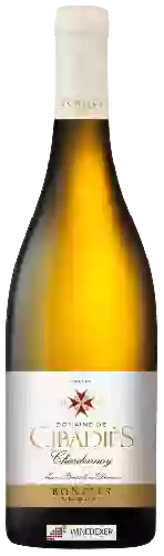 Domaine de Cibadiès - Chardonnay