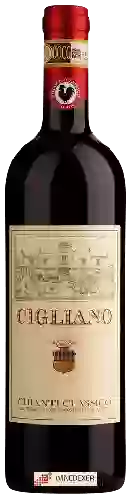 Domaine Cigliano - Chianti Classico