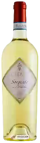 Domaine Citari - Sorgente Lugana