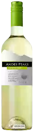 Domaine Andes Peaks - Sauvignon Blanc