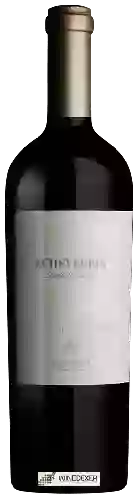 Domaine Echeverría - Limited Edition Cabernet Sauvignon