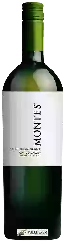 Domaine Villa Montes - Sauvignon Blanc