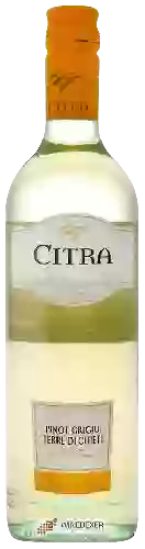 Domaine Citra - Chardonnay Terre di Chieti