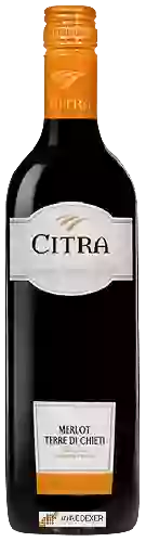 Domaine Citra - Merlot Terre di Chieti