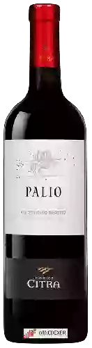 Domaine Citra - Palio Montepulciano d'Abruzzo