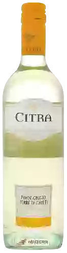 Domaine Citra - Pinot Grigio Terre di Chieti