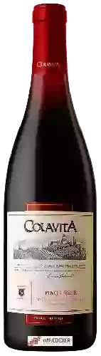 Domaine Colavita