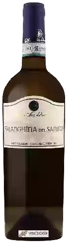 Domaine Colle di San Domenico - Falanghina del Sannio