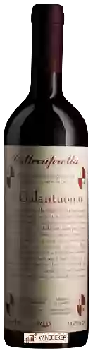 Domaine Collecapretta - Il Galantuomo