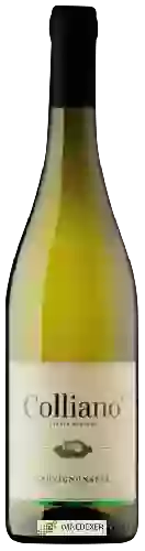 Domaine Colliano - Sauvignonasse