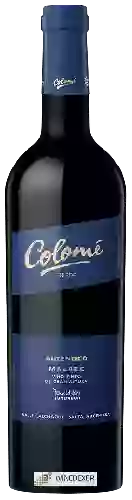 Domaine Colomé - Auténtico Malbec