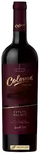 Domaine Colomé - Malbec Estate