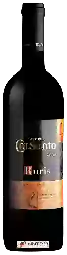 Domaine Colsanto - Ruris Umbria