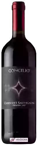 Domaine Concilio - Cabernet Sauvignon Trentino