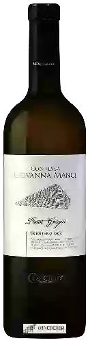 Domaine Concilio - Contessa Giovanna Manci Pinot Grigio