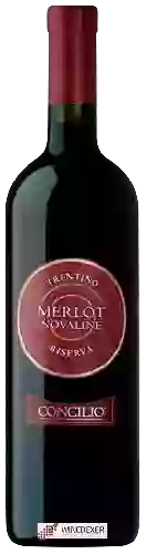 Domaine Concilio - Novaline Merlot Trentino Riserva