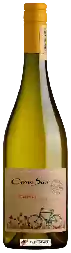 Domaine Cono Sur - Organic Chardonnay