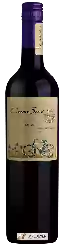 Domaine Cono Sur - Organic Malbec