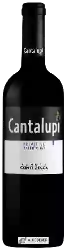 Domaine Conti Zecca - Cantalupi Primitivo Salento